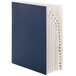 A navy blue Smead 20-pocket file sorter with white lettering.