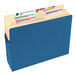 A blue file folder with several tabs and a straight cut tab.