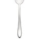 A Chef & Sommelier stainless steel dinner spoon with a silver handle.
