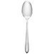 A Chef & Sommelier stainless steel demitasse spoon with a silver handle.