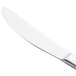 A Libbey Oceanside stainless steel dinner knife with a white handle.