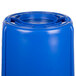 A blue Rubbermaid BRUTE recycling container with a white lid.