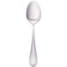 A Walco stainless steel serving spoon with a silver handle and spoon bowl.