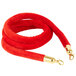 A red velvet rope with gold hardware.