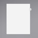 A white rectangular Avery file divider with a white and grey tab labeled 29.