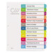 Avery® 11847 12-Tab Jan.-Dec. Multi-Color Customizable Table of Contents Dividers Main Thumbnail 2