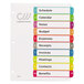 Avery® 11842 Ready Index 10-Tab Multi-Color Customizable Table of Contents Dividers Main Thumbnail 2