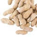 Hampton Farms 25 lb. Roasted & Salted In-Shell Peanuts Main Thumbnail 2