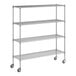A wireframe Regency stainless steel wire shelving unit.