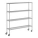 A Regency chrome wire shelving kit with wheels.