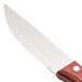 A Walco stainless steel steak knife with a Jumbo Brazil Polywood handle.