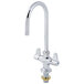 A chrome Equip by T&S deck-mounted faucet with a gooseneck spout and lever handles.