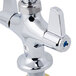 A chrome Equip by T&S deck-mounted faucet with brass lever handles.