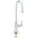 A T&S chrome deck-mounted pantry faucet with a gooseneck spout and lever handle.