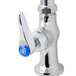 A T&S chrome deck-mounted faucet with a blue lever handle.