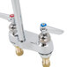 A chrome T&S deck-mounted faucet with gooseneck spout and lever handles.