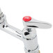 A T&S chrome deck-mounted faucet with lever handles and a red button on the side.