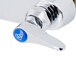 A chrome T&S wall mount faucet with blue lever handles.