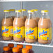 Yoo-hoo 15.5 oz. Chocolate Drink in Glass Bottle   - 24/Case Main Thumbnail 3