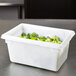 A white Rubbermaid food storage container filled with lettuce.