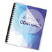 A spiral bound notebook with a clear Fellowes presentation cover over a blue and white annual contract.