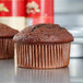 Two brown muffins in white fluted baking cups.
