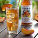 Herbal Mist 16.9 fl. oz. Sweetened Peach Iced Tea with Yerba Mate - 12/Case Main Thumbnail 1