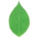 American Metalcraft Leaf Cheese Paper with a green leaf design on a white background.