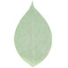 White American Metalcraft wax paper with a close-up of a green leaf.