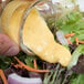 A hand pouring Ken's Foods Dijon Honey Mustard Dressing onto a vegetable salad.