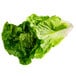 A green California Romaine lettuce leaf.