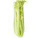 A close up of a bunch of fresh celery stalks with leaves.