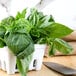 A white container of basil leaves next to a basil plant.
