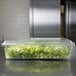 A clear Rubbermaid polycarbonate food storage box filled with lettuce.