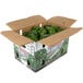 A cardboard box of large green peppers.