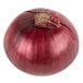 A jumbo red onion with a stem.