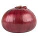 A Jumbo Red Onion with a stem on a white background.