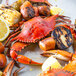 Linton's 6 1/2" Non-Seasoned Steamed Jumbo Maryland Blue Crabs - 60/Case Main Thumbnail 1