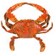 Linton's 5 1/4" Medium Seasoned Steamed Medium Maryland Blue Crabs - 42/Case Main Thumbnail 2