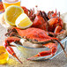 Linton's 5 1/4" Non-Seasoned Steamed Medium Maryland Blue Crabs - 84/Case Main Thumbnail 1