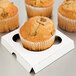 A group of muffins in a Baker's Mark white cupcake insert.