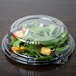 A salad in a WNA Comet plastic container with a yellow lid.