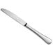 A Oneida Acclivity stainless steel dinner knife with a silver handle.