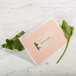 A pink envelope with an Avery matte clear shipping label on it next to a green leaf.