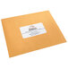 A brown envelope with a white Avery shipping label.