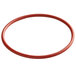 A red rubber o-ring.