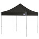 A black E-Z Up canopy with clear aluminum poles on a white background.
