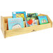 A wooden Whitney Brothers toddler book display shelf with children's books on it.