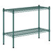 A green metal shelf with two shelves and black legs.