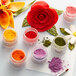 A group of Roxy & Rich Red Rose Petal Dust jars in yellow, red, purple, and green next to a flower.